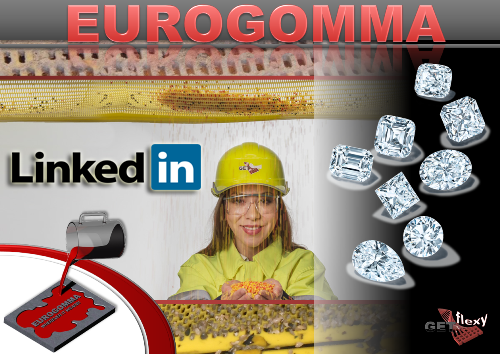 Eurogomma celebrates the new Linkedin profile